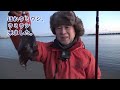 【七ヶ浜釣り】タコヒラメどっちも来いや！