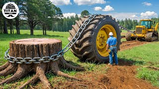 Extreme Dangerous Monster Stump Removal Excavator | Amazing Fastest Wood Chipper Machines #5