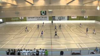 MTK-MFS 2004 - Austria Wien   2015.03.01. Krieglach