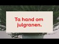 Så tar du hand om julgranen!