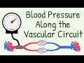 DON'T TAKE THIS FOR GRANTED: Blood Pressure Along the Vascular Circuit