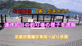 えむでテレビジョン　特別配信　GW大型連休突入　連休初日の釣り場の様子を速報　京都府舞鶴市東岡っぱり界隈