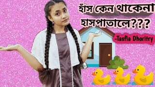 হাঁস কেন থাকে না হাসপাতালে | Tasfia Dhoritry | বাংলা ছড়াগান | Kid's new song 2021