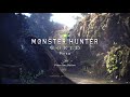 【mhw】モンスターハンターワールド　アンジャナフ　ソロ　ライトボウガン　11 21