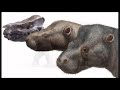 Pantodonts: The First Large Mammalian Herbivores