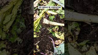 Composting: The Benefits of Composting for a Healthier Garden!