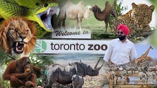 Toronto Zoo ||ਚਿੜੀਆ ਘਰ || The Largest Zoo in Canada || ਟੋਰਾਂਟੋ ਦਾ ਚਿੜੀਆ ਘਰ