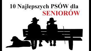 10 Najlepszych PSÓW dla SENIORÓW