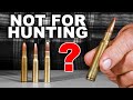 These Cartridges Aren't For Hunting?