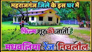 मधवलिया रेंज निचलौल महाराजगंज | nichlaul forest | mahrajganj jila forest | nichlaul maharajganj news