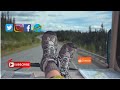 the scary cassiar highway u0026 challanging alcan ep. 16