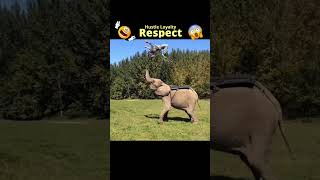 #RESPECT tiktok 😱😨😲 respect tik tok videos like a boss #shorts #fyp #foryou #foryoupage #likeaboss