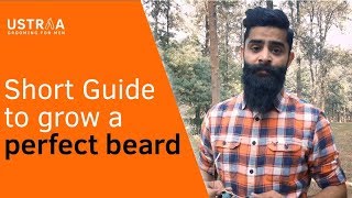 Short guide to grow a perfect beard