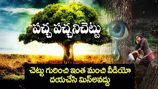 Heart Touching Video About the Trees | చెట్టు గురించి అద్భుతమైన వీడియో | Motivation Video