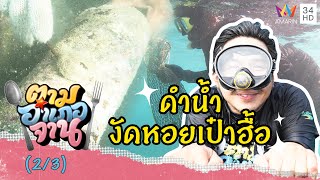 ดำน้ำลึกงัด หอยเป๋าฮื้อ | ตามอำเภอจาน | 3 ก.ค.64 (2/3)