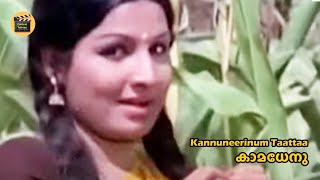 Kannuneerinum Tata| Kaamadhenu1976 |Yusufali Kecheri  |P Jayachandran |Vani Jairam  |Central Talkies