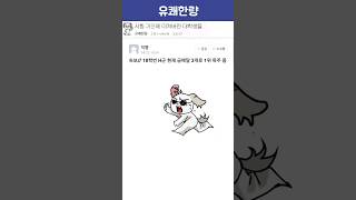 시험 기간에 미쳐버린 대학생들