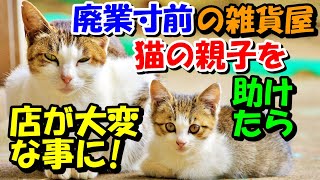 廃業寸前の雑貨屋さん。公園でおなかの空いている猫の親子を助け、ある日店を開けたら訳の分からない事態に驚愕!【猫の不思議な話】【朗読】