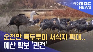 순천만 흑두루미 서식지 확대..예산 확보 '관건' -R (231213수/뉴스데스크)