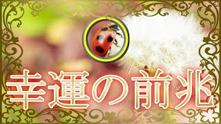 見逃し厳禁！「生き物」が教えてくれる”幸運の前兆”！一見気付きにくい、未来からの”意外すぎるサイン”とは…【スピリチュアルメッセージ】