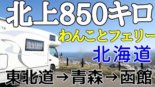 Hokkaido Aomori to Hakodate Tsugaru Kaikyo Ferry - Camper with Dog