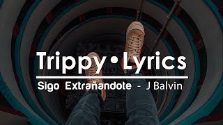Sigo Extrañándote 🔴 J Balvin 🔴 Subtitulado al Español 🔴 Bitty Lyrics