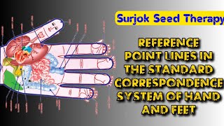 REFERENCE POINT LINES IN THE STANDARD CORRESPONDENCE SYSTEMS OF HAND AND FEET