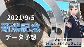 【競馬予想実況】新潟記念2021　過去10年データ予想【穴馬】