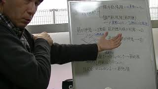 キネシオロジーの基礎：筋肉の促通と抑制