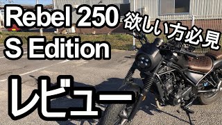 【レブル250 S Edition】１年間走行インプレ・レビュー！レブルの良い点悪い点を初心者の視点から伝えます。