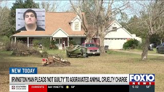 Irvington man pleads not guilty to stabbing dog to death