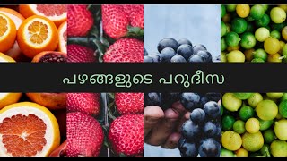 Satisfying video-Organic Fruits - പഴങ്ങളുടെ പറുദീസ