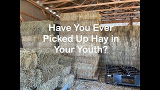 Have You Ever Picked Up Hay in Your Youth? Not Fun, was it?