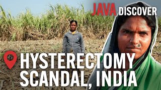 Sugar's Dark Secrets: India's Sugar Plantation Workers Forced into Surgery | Documentary