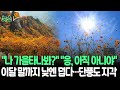 [뉴스쏙] 폭염에 지각한 단풍…설악산 10월 하순에야 절정 | 이달 말까지는 낮에 30도…'진짜 가을'은 10월부터 / 연합뉴스TV (YonhapnewsTV)