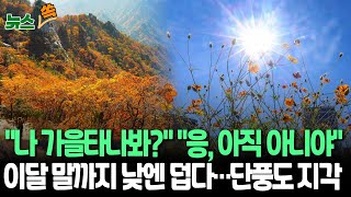 [뉴스쏙] 폭염에 지각한 단풍…설악산 10월 하순에야 절정 | 이달 말까지는 낮에 30도…'진짜 가을'은 10월부터 / 연합뉴스TV (YonhapnewsTV)