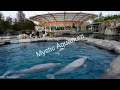 Mystic Aquarium Tour