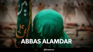 Abbas Alamdar V.2 - Syed Abbas Naqi_Video Status 2020
