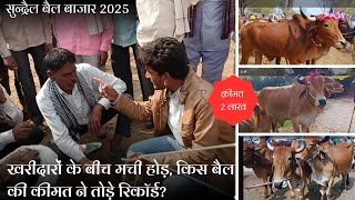 sundhrel बैल बाजार 2025 ! ऐसे बैल आपने पहले कभी नहीं देखे होंगे | बैल बाजार स्पेशल