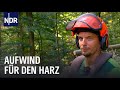 Wandern, Wald und Aufwind - Die jungen Wilden im Harz | die nordstory | NDR