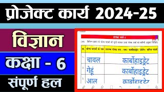 प्रोजेक्ट कार्य विज्ञान | छठवीं | 2024 2025 | कक्षा 6 | project karya vigyan | kaksha chhathvin | 6