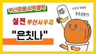 [실전 부산사투리] 응급상황!! 고구마 먹다가 은칫나?!