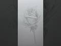 Draw a rose 🌹 Easy drawing lesson for beginners on how to draw a rose. #drawinglesson