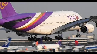 ✈✈超大型旅客機の着陸 タイ航空บริษัท การบินไทย  (Thai Airways ) Airbus A380-841 HS-TUB Landing Narita RWY16R 成田空港