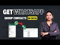 Export WhatsApp Group Contacts to Excel in Seconds! 💥 | WA Sender Tutorial