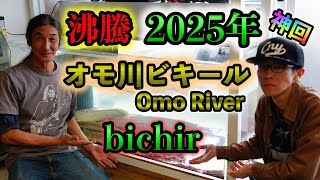 『沸騰 🔥オモ川ビキール』大人気ポリプテルスのマニアの中で憧れのビキール！愛知県わいるどもん ナイル水系『OmoRiver bichir』『 Nile Polypterus』トゥルカナセネガルス