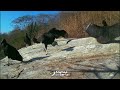 instalei a cÂmera em cima de uma plataforma rochosa