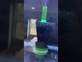 Aquarium rack 20g tanks Auto water change￼ Inspired by Foisy Aquatics￼ Aquarium Co-op filters￼￼