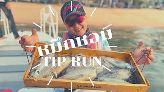 พาเพื่อนไปตกทิปรัน TIP RUN (ตกหมึกน้ำลึก) ฟิชชิ่งปิ๋มจ๋าEp11 #ตกปลาหมึก #ตกหมึก