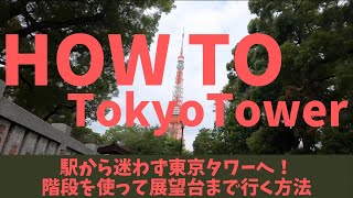 絶対迷わない！東京タワー階段を完全攻略！TokyoTower How To